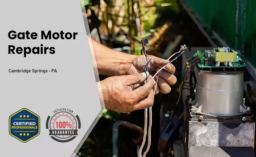 Gate Motor Repairs Cambridge Springs - PA 