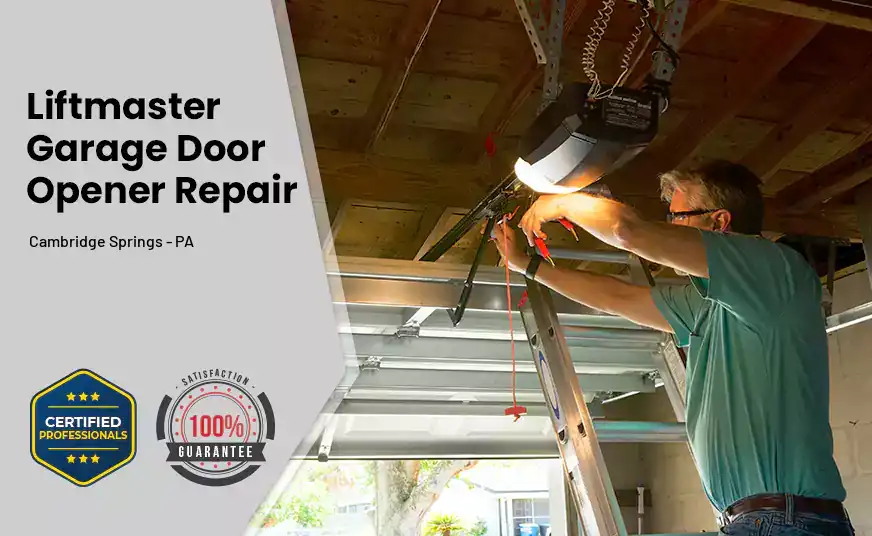 Liftmaster Garage Door Opener Repair Cambridge Springs - PA 