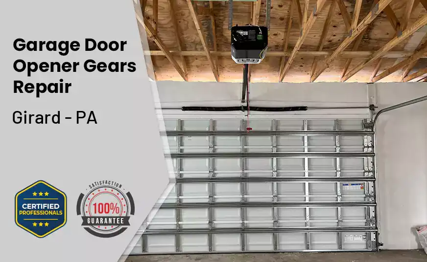 Garage Door Opener Gears Repair Girard - PA 