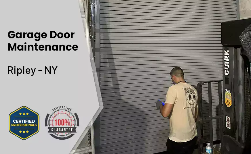 Garage Door Maintenance Ripley - NY 