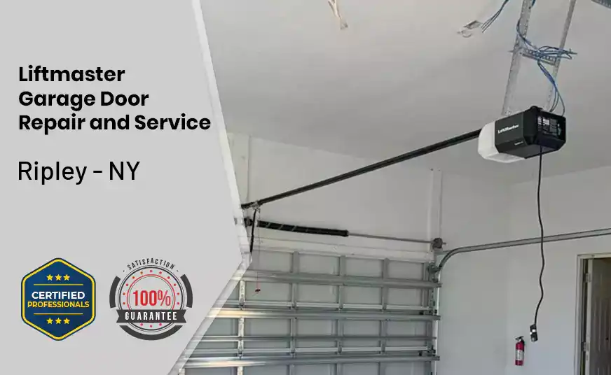 Liftmaster Garage Door Repair and Service Ripley - NY 